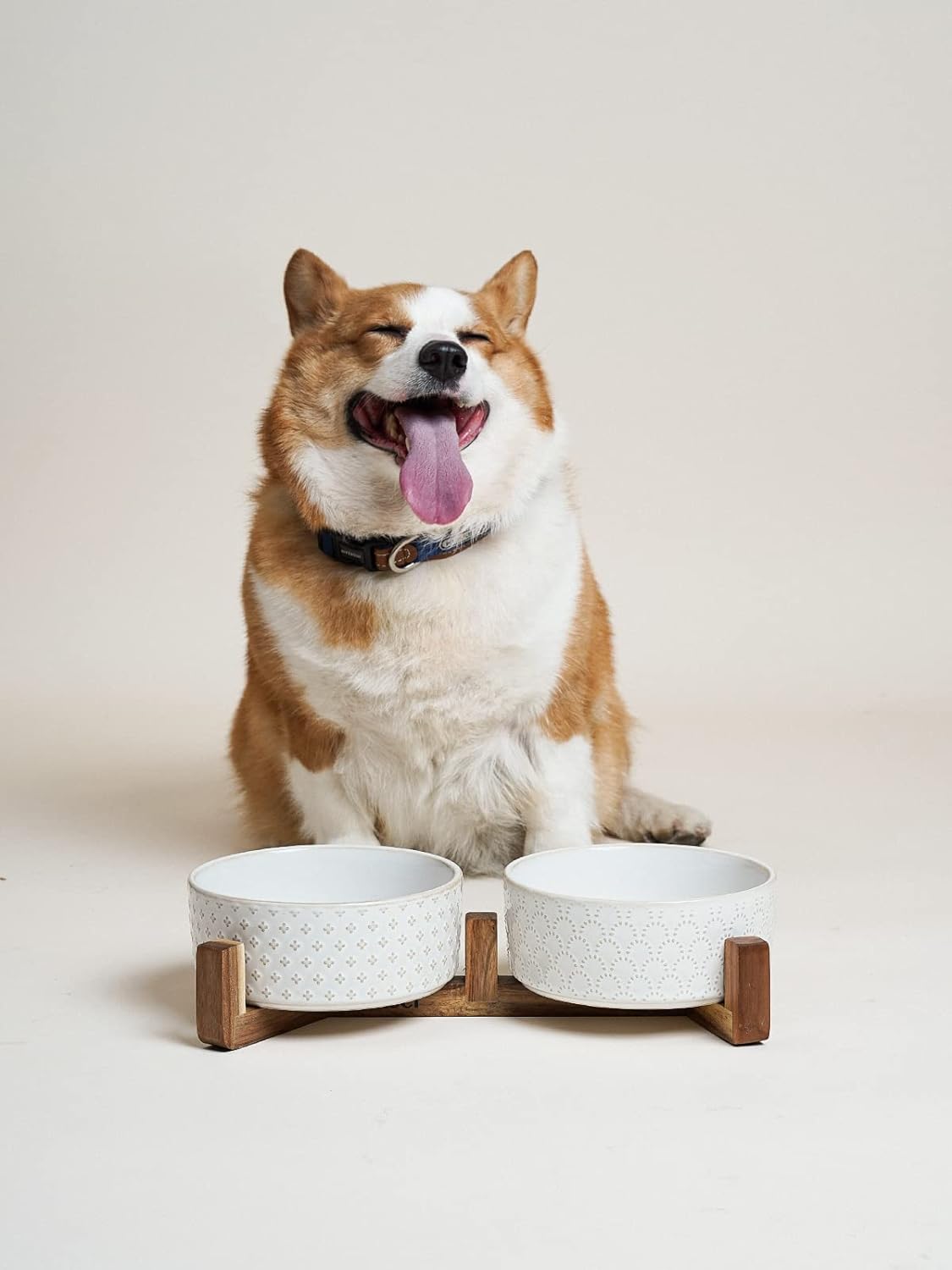 LE TAUCI Ceramic Dog Bowls with Acacia Wood Stand - 7 Inch Food & Water Set for Medium-Large Dogs - Weighted Pet Bowls - Image 6
