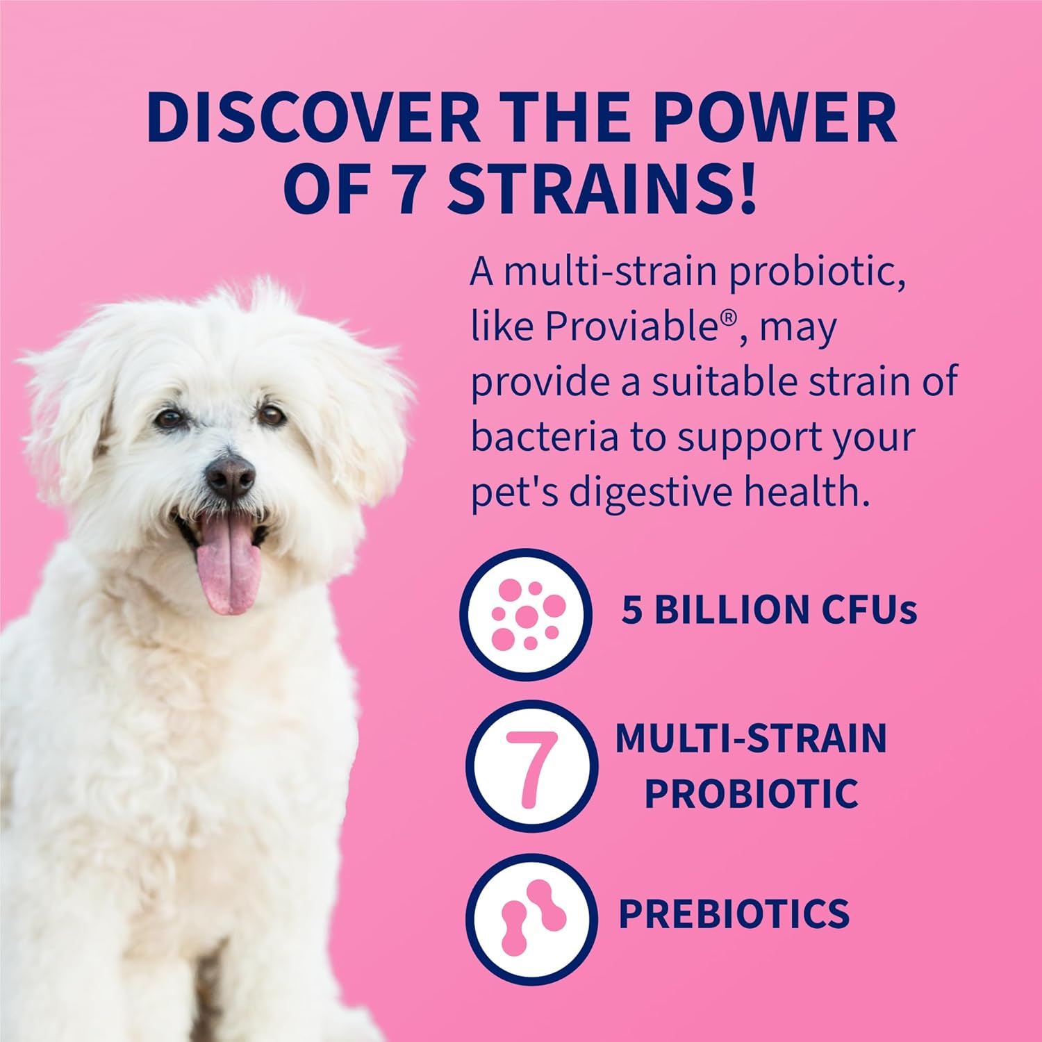 Nutramax Proviable Probiotics for Dogs and Cats, Daily Digestive Health Supplement with Multiple Strains of Bacteria, Cat and Dog Probiotics Plus Prebiotics, 30 Capsules - Image 5