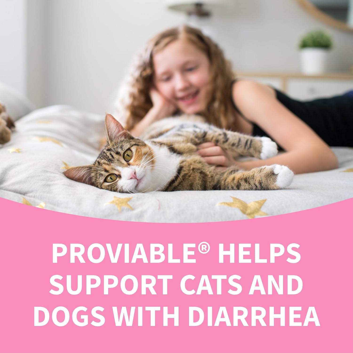 Nutramax Proviable Probiotics for Dogs and Cats, Daily Digestive Health Supplement with Multiple Strains of Bacteria, Cat and Dog Probiotics Plus Prebiotics, 30 Capsules - Image 9