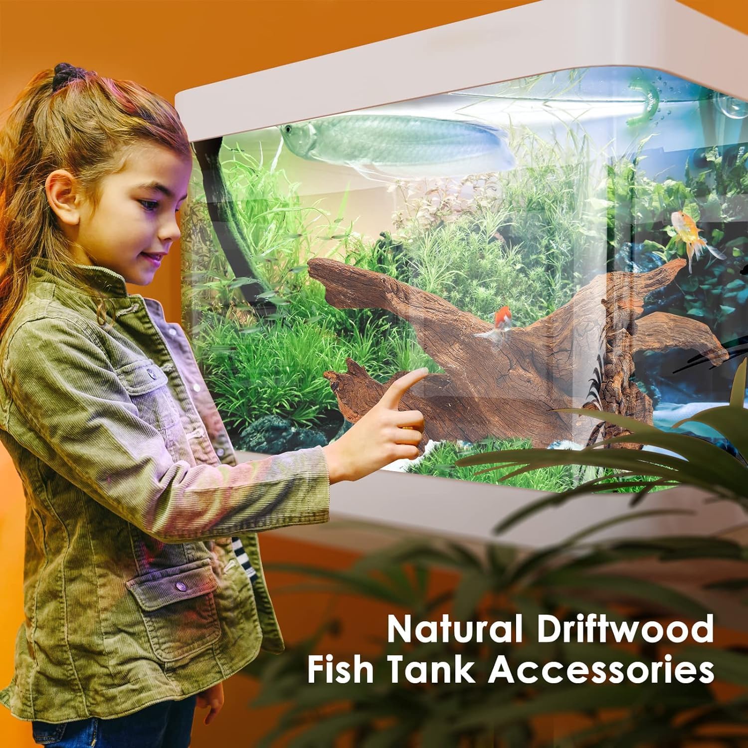 Jorewood Natural Large Aquarium Driftwood for Fish Tanks & Reptile Terrariums – 100% Safe Fish Tank Decorations, 2-Piece 10-14 Inch Unique Twisted Branches Low Tannin, Easy to Sink - Image 5