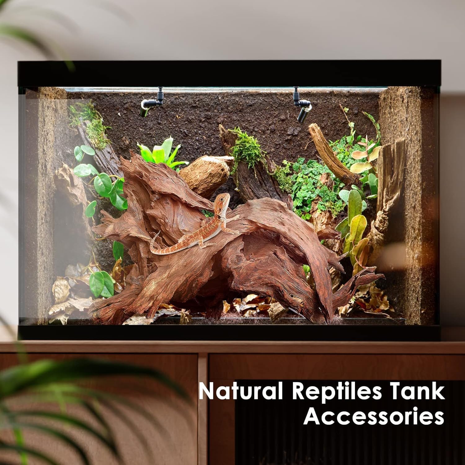 Jorewood Natural Large Aquarium Driftwood for Fish Tanks & Reptile Terrariums – 100% Safe Fish Tank Decorations, 2-Piece 10-14 Inch Unique Twisted Branches Low Tannin, Easy to Sink - Image 6