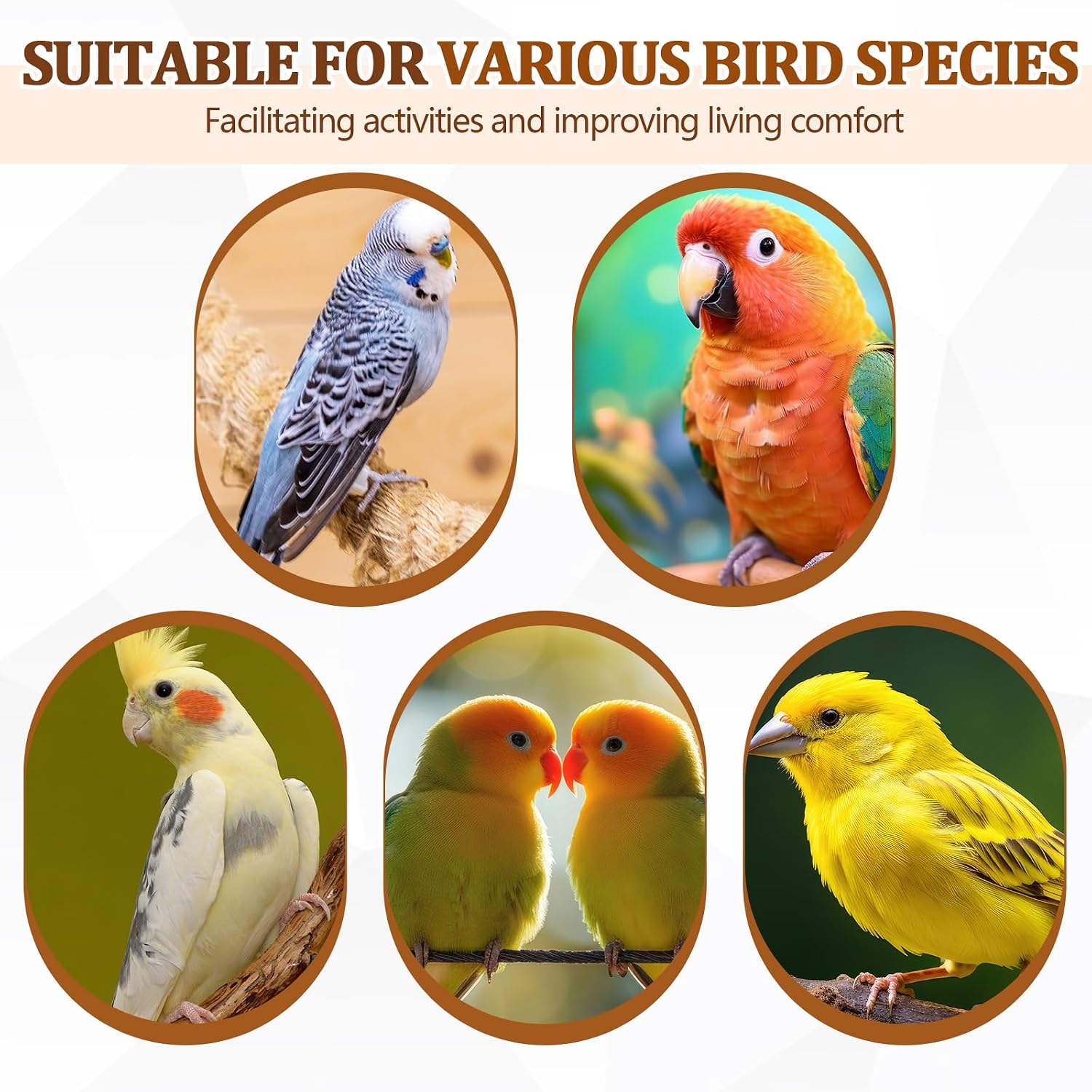 Sintuff 8 Pcs Bird Perches for Cage Accessories, Wooden Perch Rods Replacement with Double Head Slots, 0.6 Inch Diameter Natural Wood Stand for Parrot Macaw Cockatoo Parakeet (18 Inches) - Image 6
