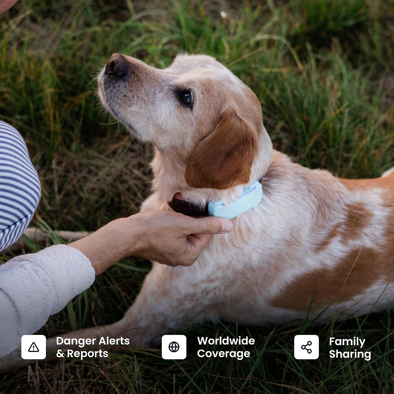 Tractive Smart Dog GPS Tracker with 6 Month Subscription | Live Pet Tracker with Virtual Fence | Vital Signs Monitoring of Heart & Respiratory Rate | Bark Monitoring | Dog Collar Attachment (Brown) - Image 7