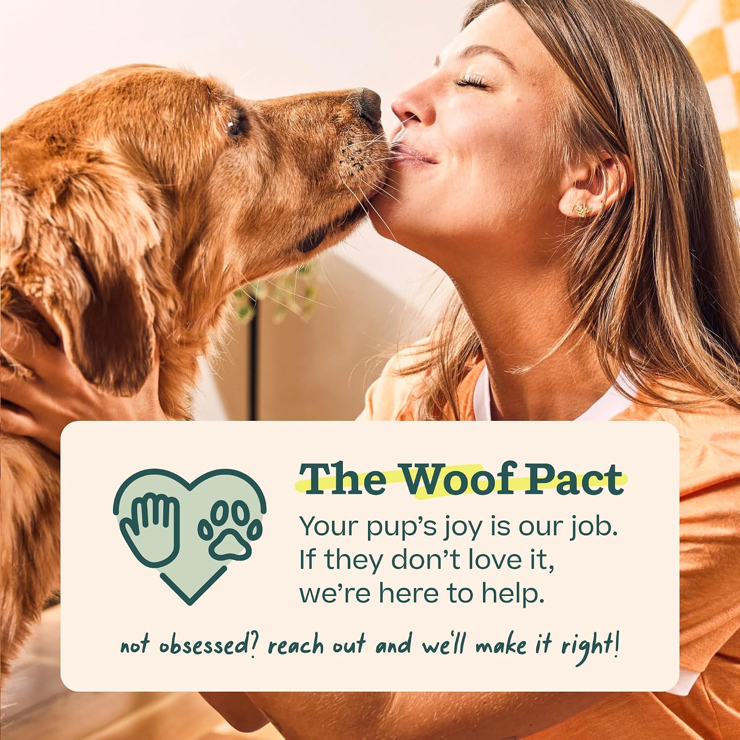 WOOF BullySafe - Bully Stick Holder - Durable Dog Chew Holder for Safe, Long-Lasting Play - Easy to Clean - No More Swallowed Ends - for Dogs 10+ lbs - Image 8