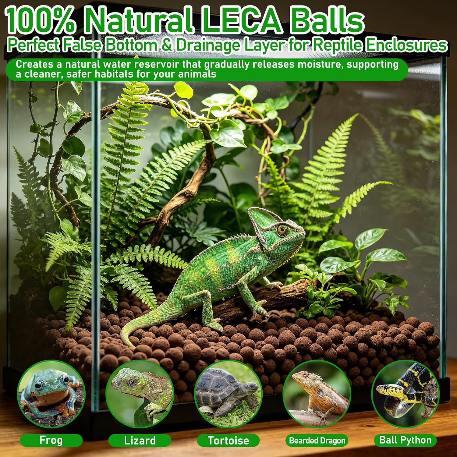 Riare 2LBS Expanded Clay Balls Terrarium Substrate for Reptiles - 100% Organic Lightweight Clay Pebbles Substrate Frogs False Bottom Substrate, Bioactive Terrarium Substrate for Drainage and Moisture - Image 6
