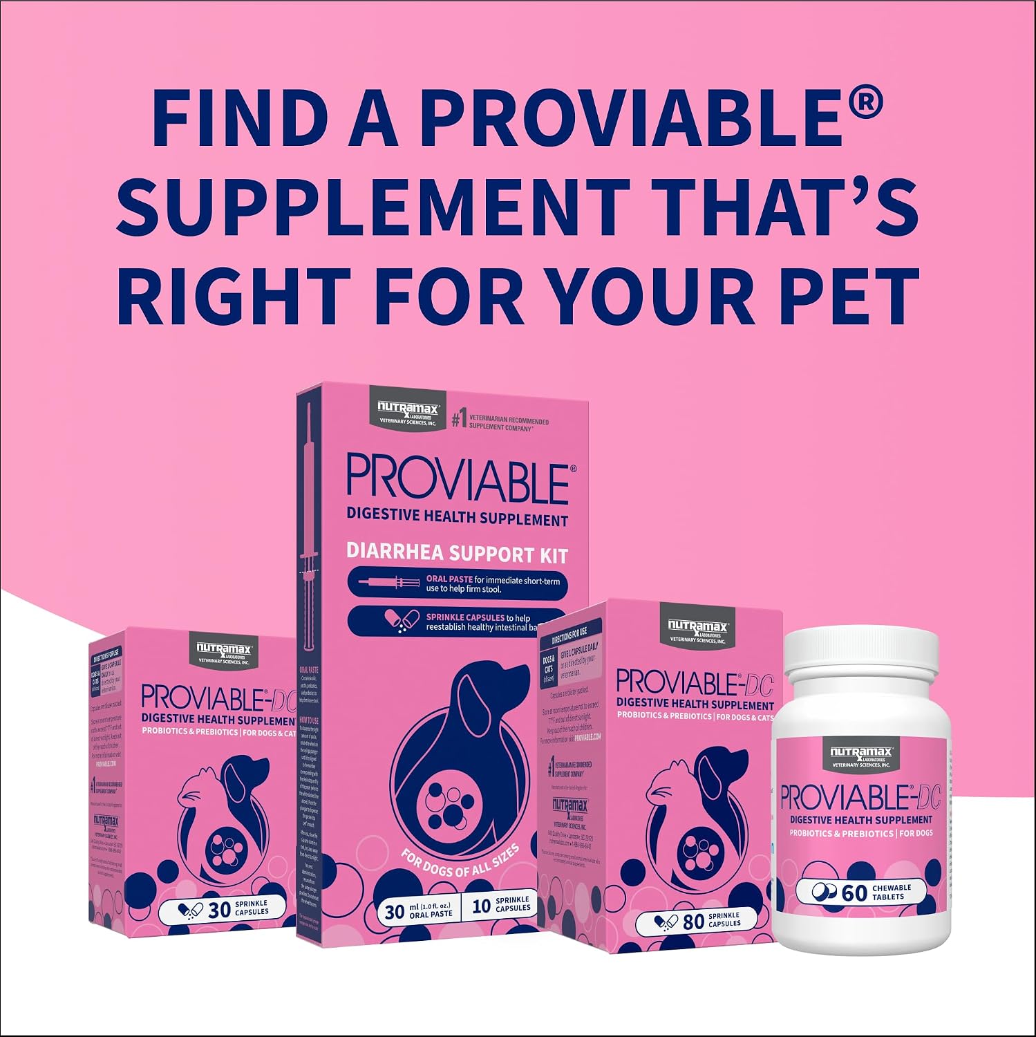 Nutramax Proviable Probiotics for Small Dogs and Cats, Diarrhea Support Kit, Digestive Health Supplement with Multiple Strains of Bacteria, Plus Prebiotics, Kaolin and Pectin, 15 ml Paste and 10 Capsules - Image 10