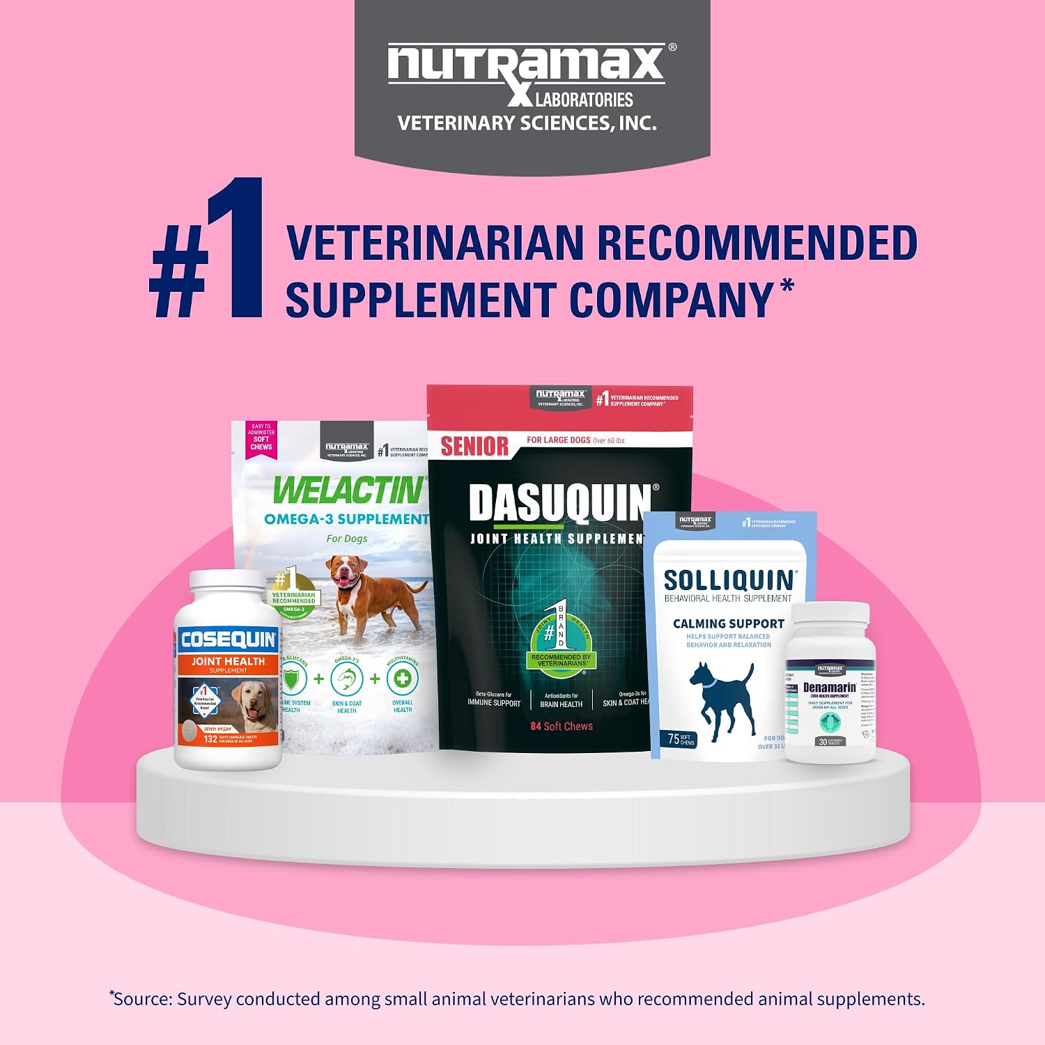 Nutramax Proviable Probiotics for Small Dogs and Cats, Diarrhea Support Kit, Digestive Health Supplement with Multiple Strains of Bacteria, Plus Prebiotics, Kaolin and Pectin, 15 ml Paste and 10 Capsules - Image 13