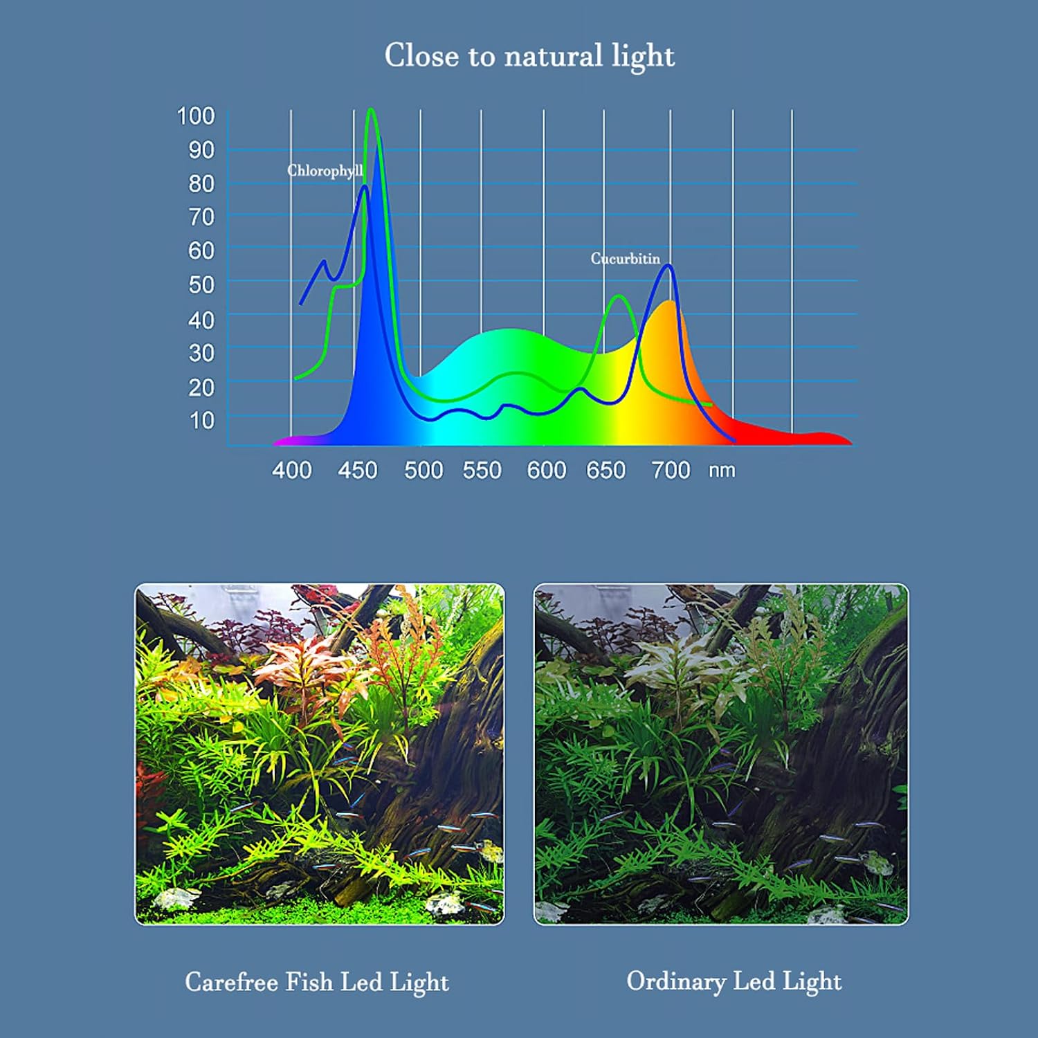 Carefree Fish Aquarium LED Light USB 5V1A RGBW 5730 Timmer 5~20Gal Fish Tank Clip Light 10 Brightness Levels 13W with USB Port (Include UL Certification Power Adapter) - Image 2