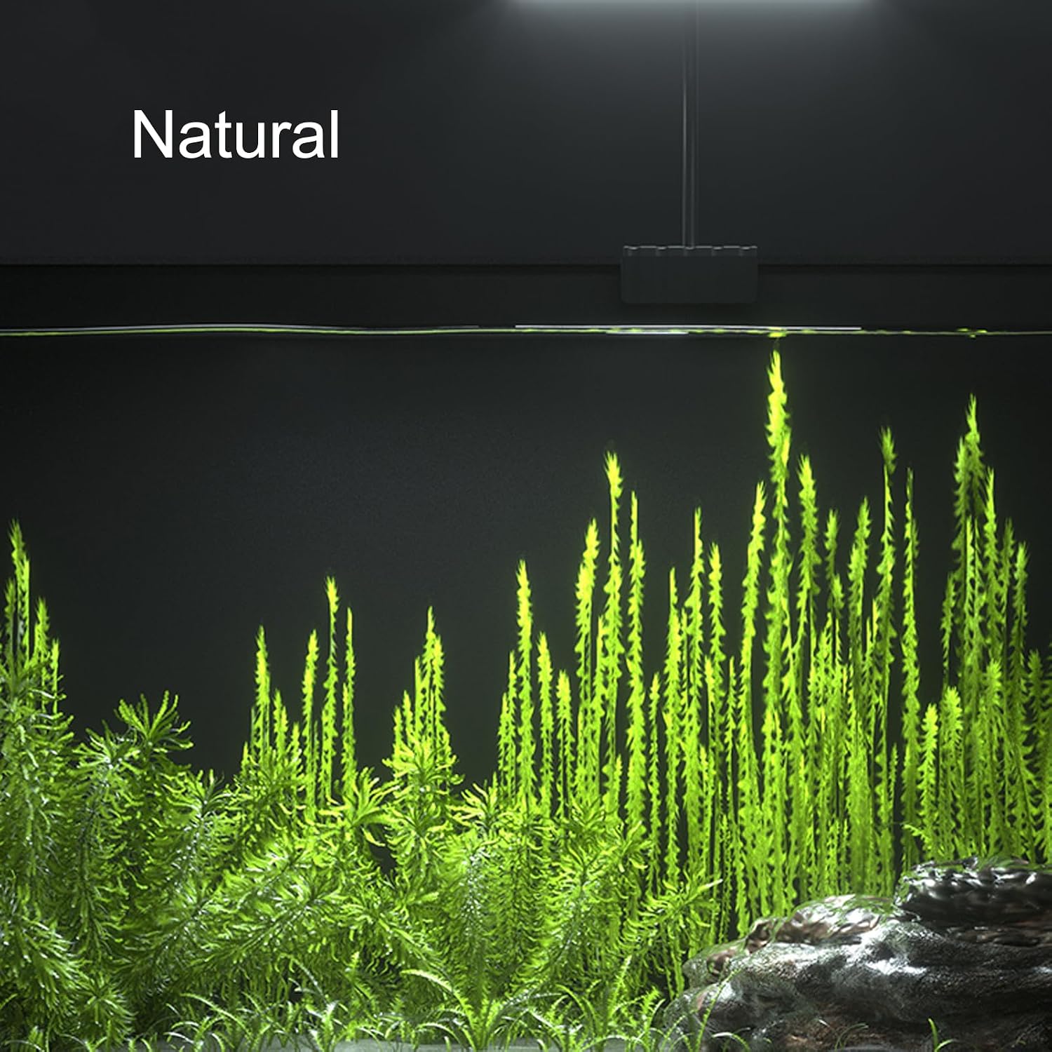 Carefree Fish Aquarium LED Light USB 5V1A RGBW 5730 Timmer 5~20Gal Fish Tank Clip Light 10 Brightness Levels 13W with USB Port (Include UL Certification Power Adapter) - Image 4