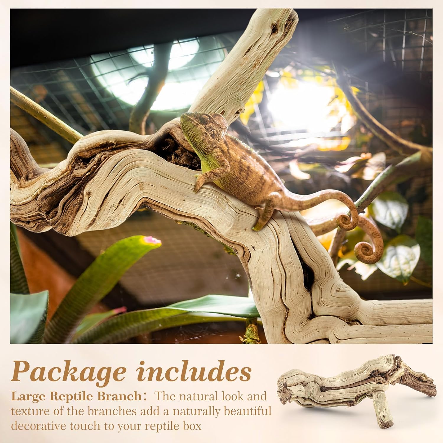 Janinka 10-12" Length Large Wood Reptile Branch for Bearded Dragon Driftwood Reptile Climbing Habitat Decoration for Terrarium Tree Trunk Ornament Gecko Frog Chameleon Spider - Image 3