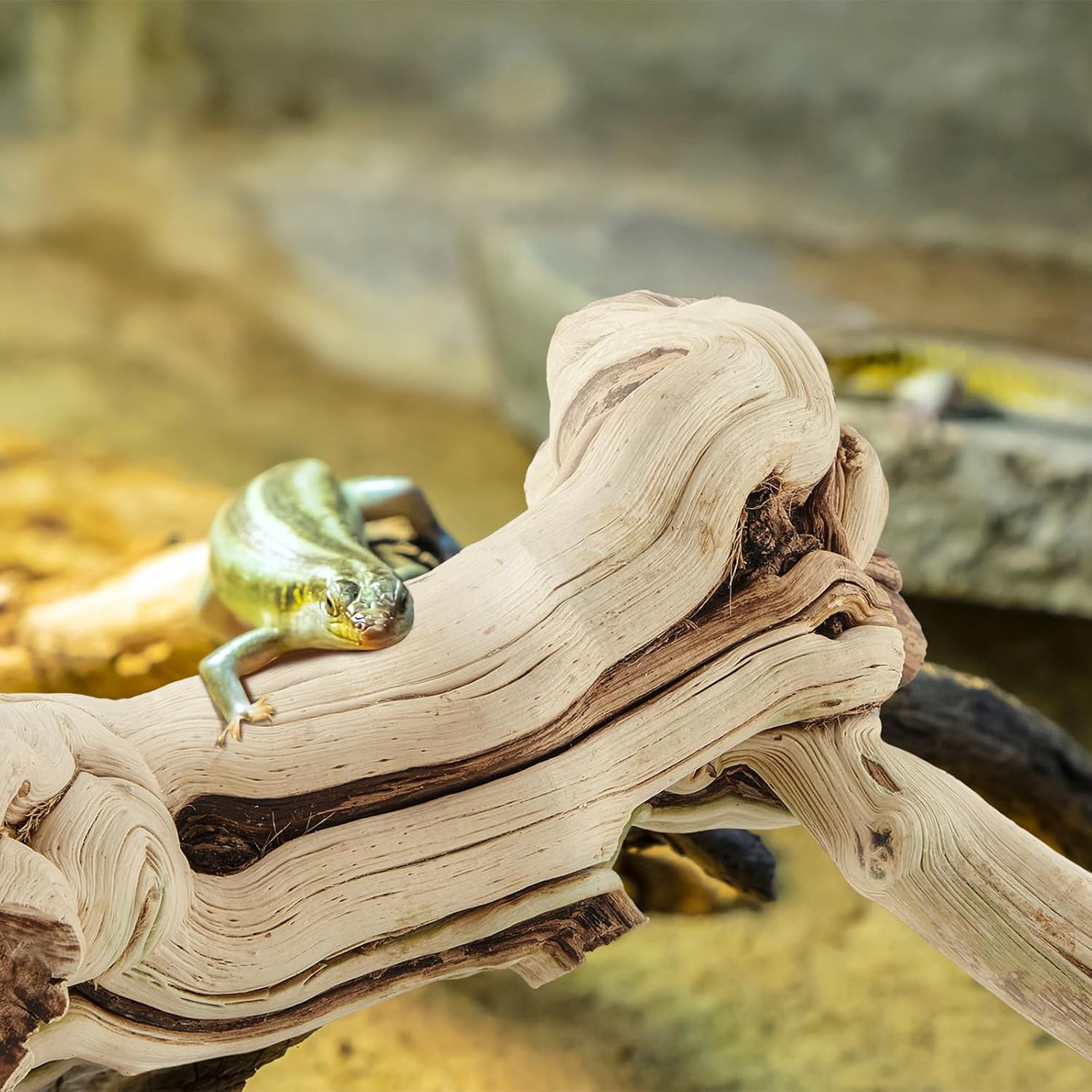 Janinka 10-12" Length Large Wood Reptile Branch for Bearded Dragon Driftwood Reptile Climbing Habitat Decoration for Terrarium Tree Trunk Ornament Gecko Frog Chameleon Spider - Image 6