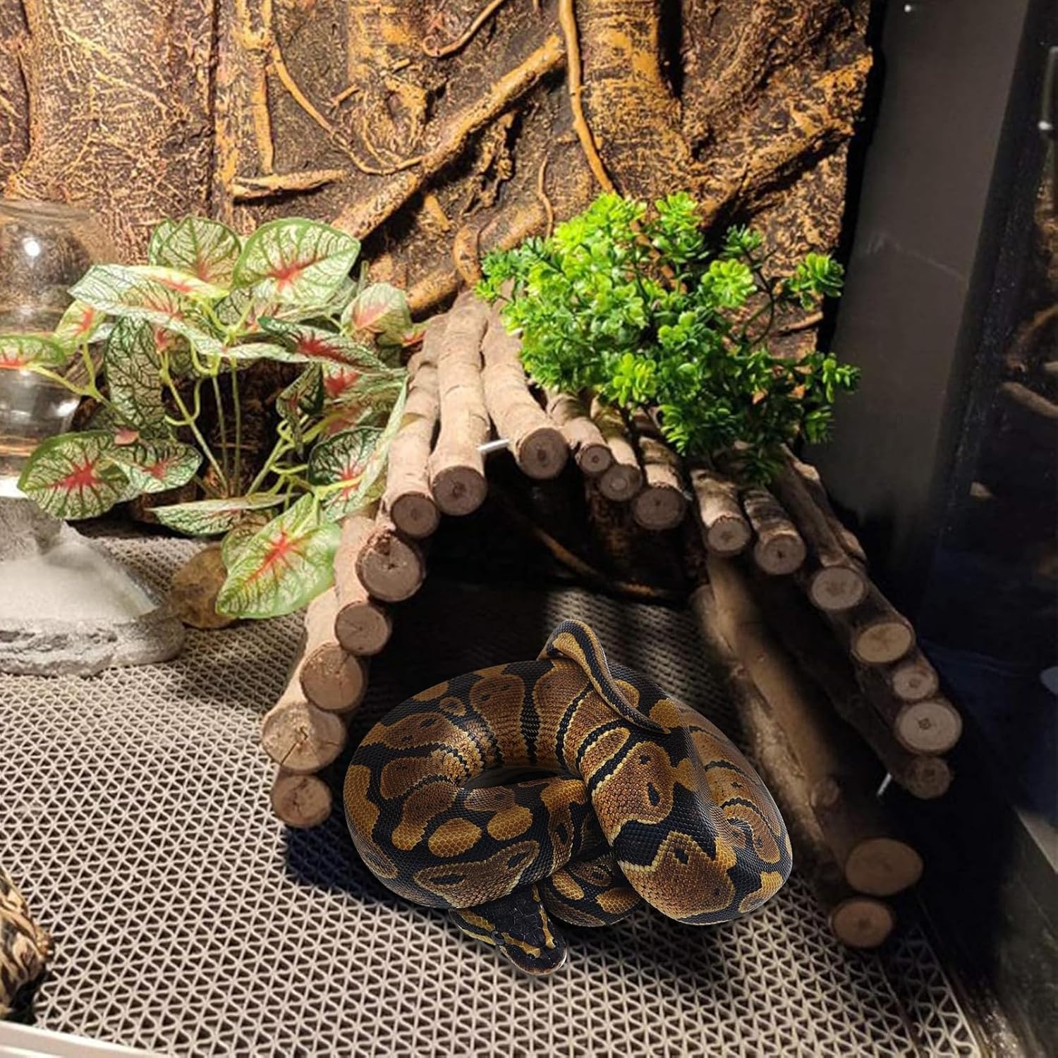 Hamiledyi Extra Large Tortoise Hide 20"x 11.8" Wooden Reptile Hides Large Snake Hide Turtle Hut Bendable Climbing Bridge Wood Tunnel Turtle Hideout for Ball Python Bearded Dragon Chameleon Lizard - Image 2