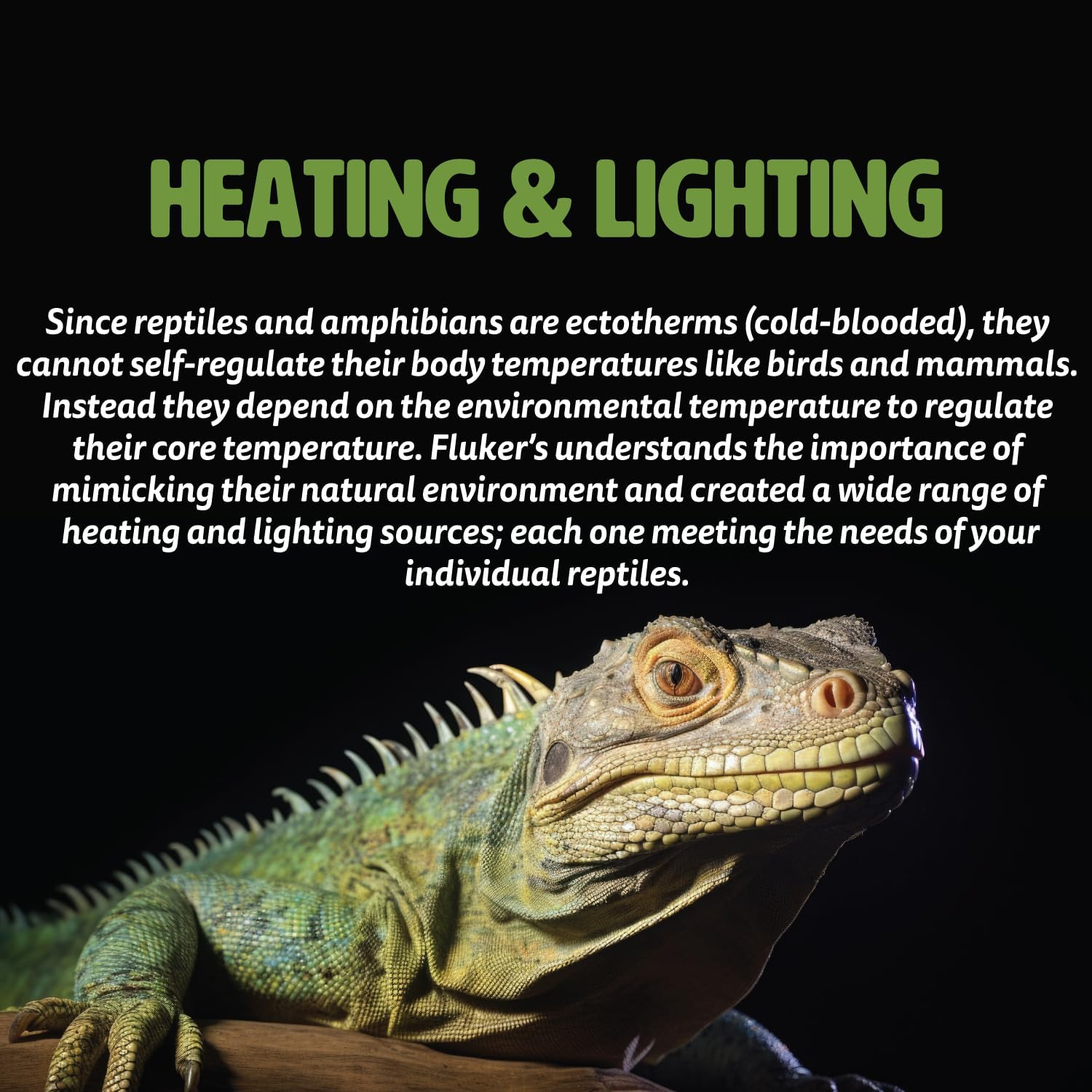 Fluker's Repta-Clamp Lamp, Heavy Duty Clamp Light For Reptile Tanks and Terrariums, UL/CUL Approved, Great for Reptile Basking, 150-Watt Maximum with Dimmable Switch, 8.5" | Heavy Duty Clamp Light for Reptile Tanks and Terrariums, UL/CUL Approved, Great for Reptile Basking, with Dimmable Switch - Image 5