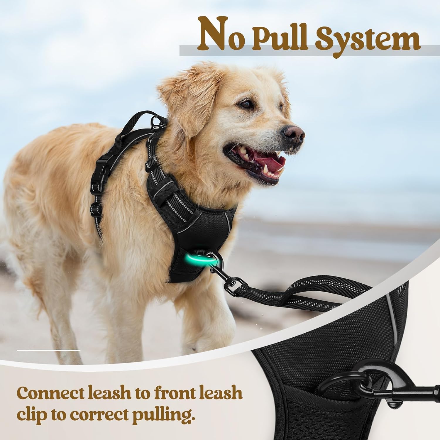 rabbitgoo Dog Harness, No Pull Medium Sized with 2 Leash Clips, Pet Vest | No Choke, Adjustable, Breathable Padded, 2 Lead Rings, Reflective, Easy Control for Walking Training, M, Black - Image 5