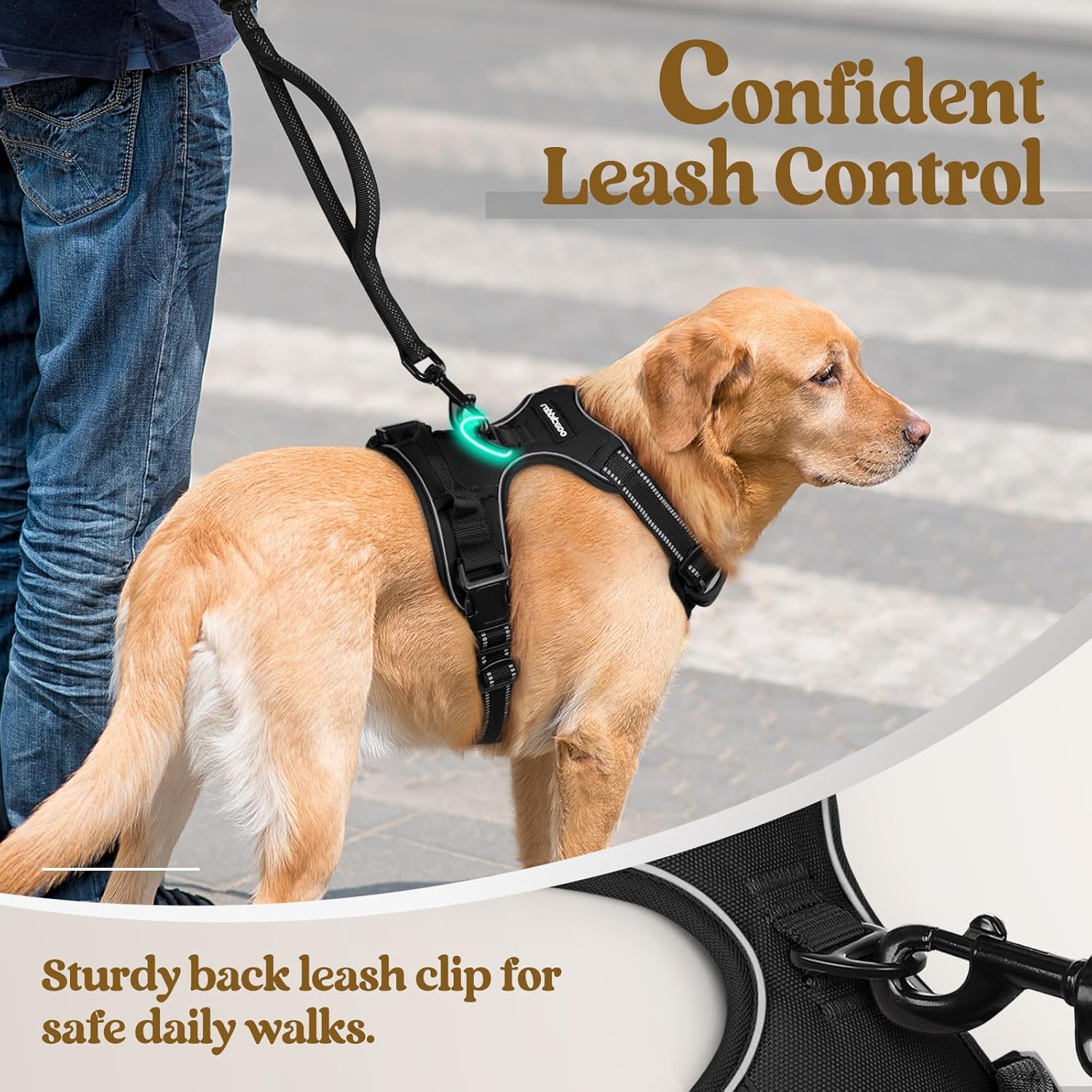 rabbitgoo Dog Harness, No Pull Medium Sized with 2 Leash Clips, Pet Vest | No Choke, Adjustable, Breathable Padded, 2 Lead Rings, Reflective, Easy Control for Walking Training, M, Black - Image 6