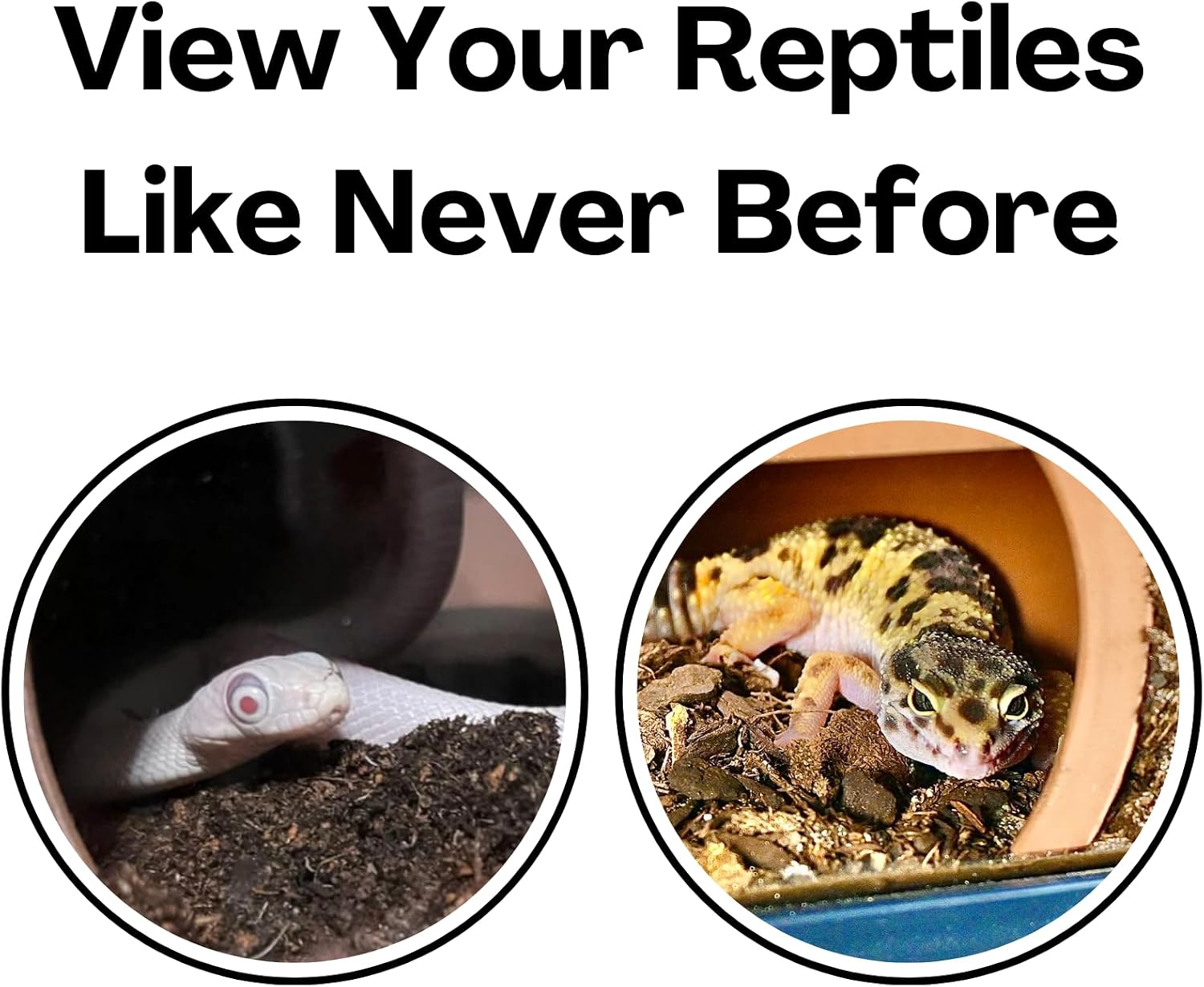 Reptile Corner Underground Cave Viewing Hide | Hognose Snake, Corn Snake & Leopard Gecko Hideout Reptile Habitat Tank Enrichment | Decor Decoration Accessories Supplies Toys Ornaments - Image 7