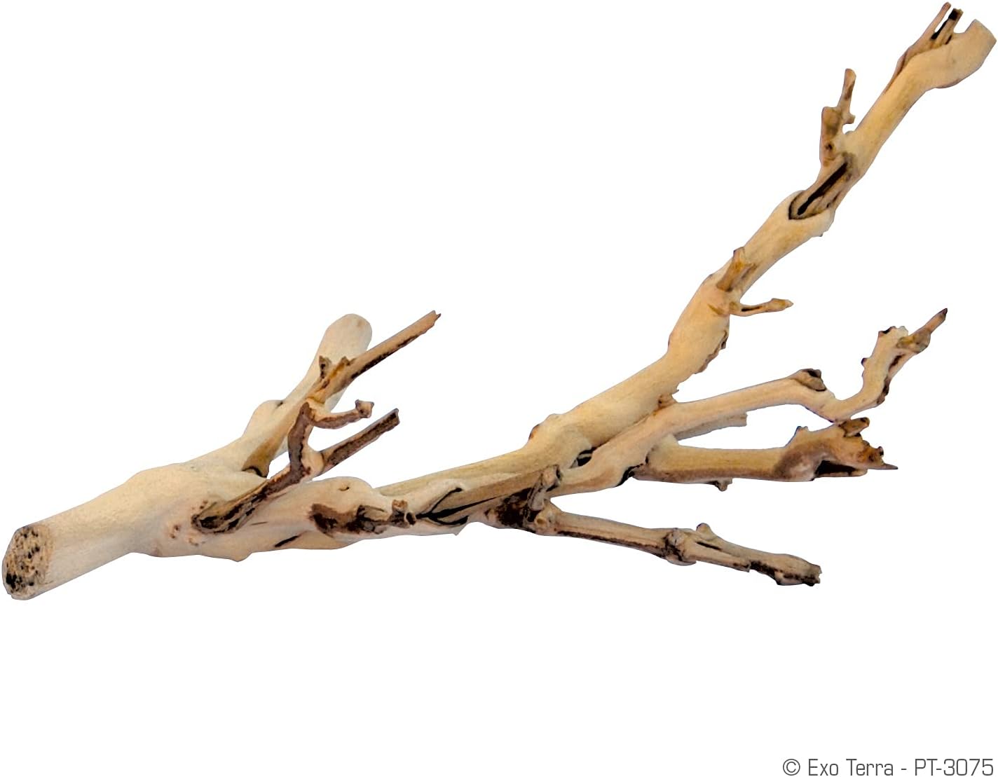 Exo Terra Forest Branch Small – Natural Wood Terrarium Decoration for Reptiles, Amphibians & Small Pets - Image 2