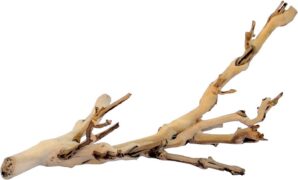 Exo Terra Forest Branch Small – N...