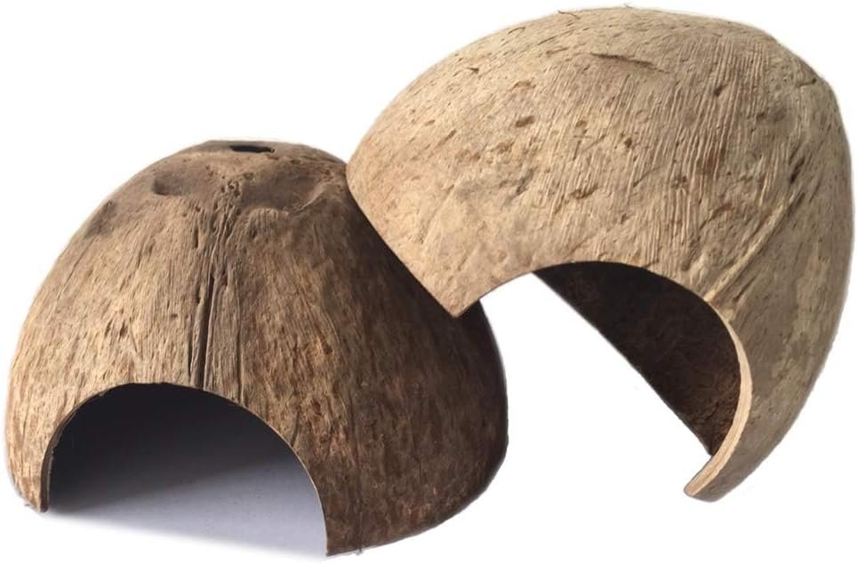 PINVNBY 2 PCS Natural Coconut Repti...