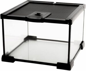 AWXZOM Mini Reptile Glass Terrarium...