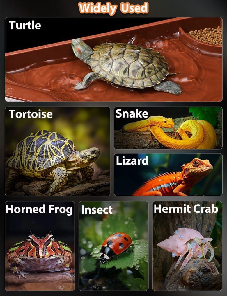Tortoise Water Bowl with Ramp, 3PCS Leaf Reptile Food Water Bowl Turtle Pool Reptile Water Dish Tortoise Bathing Pool Turtle Soaking Dish Aquarium Habitat Accessories Small - Image 8