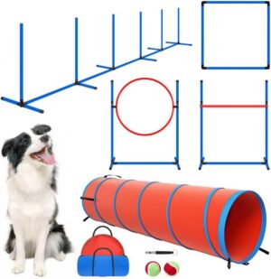 Dog Agility Equipment, Dog Agility ...