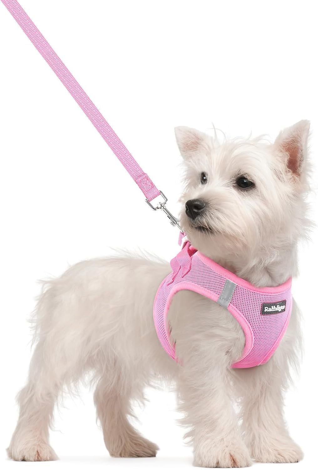 rabbitgoo Dog Harness Small Sized a...