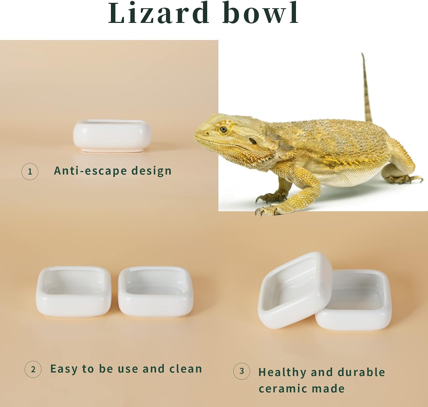 Ceramic Reptile Food Bowls, Reptile Water Food Dish (White, Medium-1Pack) - Image 2