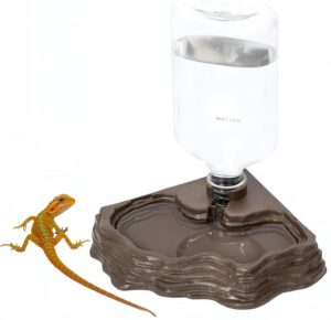 Reptile Lizard Bearded Dragon Water...