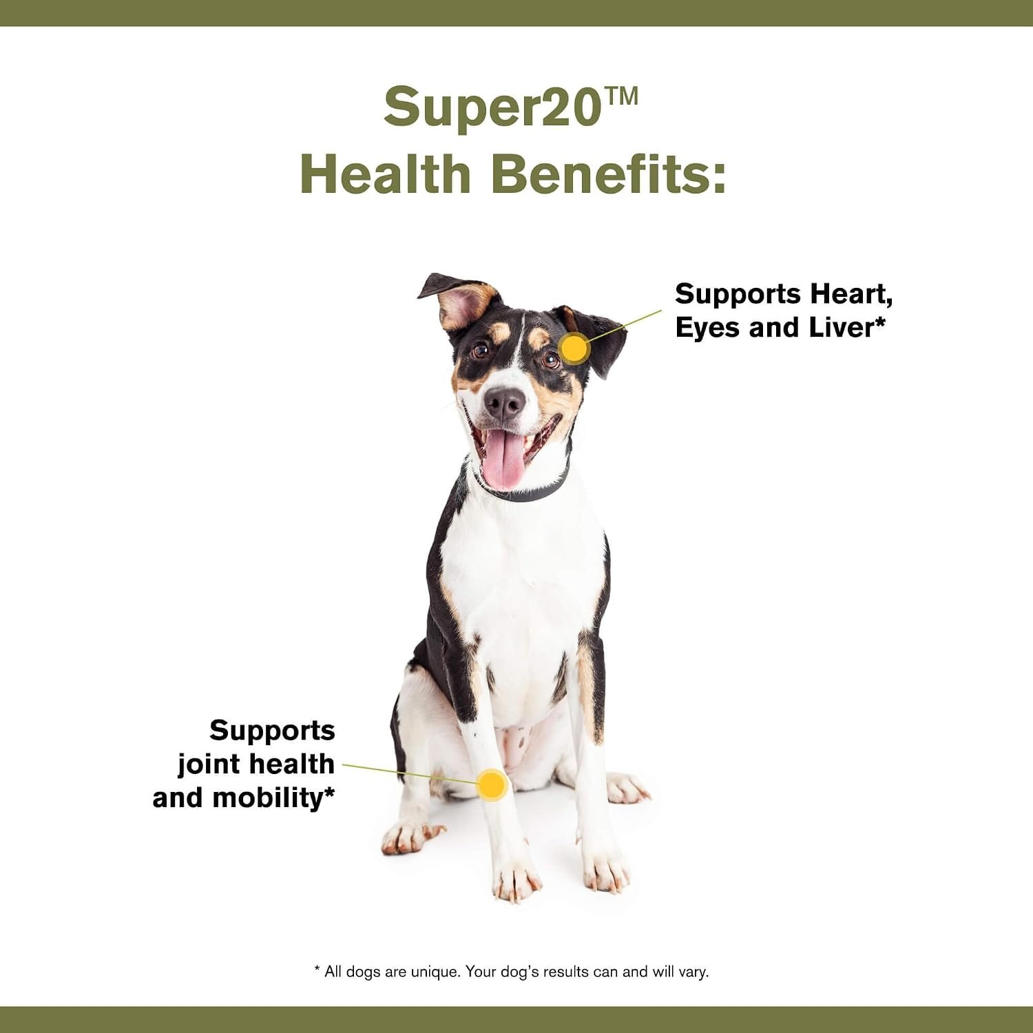 Badlands Ranch - Super20 Canine Supplement Organic Ingredients Multi-Benefit Supplement, Ashwagandha, Help w/Canine Well-Being, Heart, Joint, Vision, Antioxidant Support by Katherine Heigl (30 scoops) - Image 5