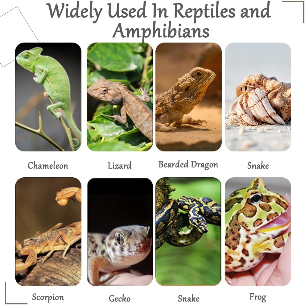 Hamiledyi Reptile Plants Bendable Jungle Climbing Vine Terrarium Branch Flexible Plastic Leaves Hanging Pet Habitat Decoration for Bearded Dragon Lizard Gecko Frog Snake Tank Accessories Decor - Image 7
