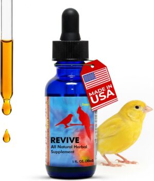 Morning Bird Revive 1 Fl Oz –...
