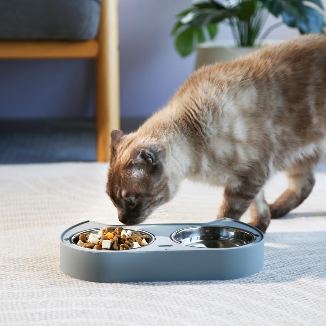 Kitten Food Bowl - Cat Food and Water Bowl Set for Indoor Cats | Two stainless steel dishes in a non-slip silicone base to resist sliding, 1.5 cup capacity each, top-rack dishwasher safe. - Image 6