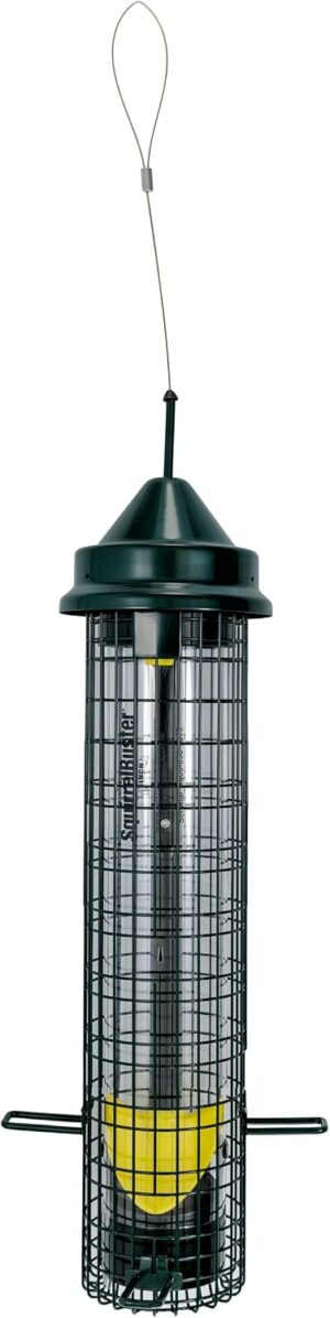 Squirrel Buster® Nyjer® – Squir...