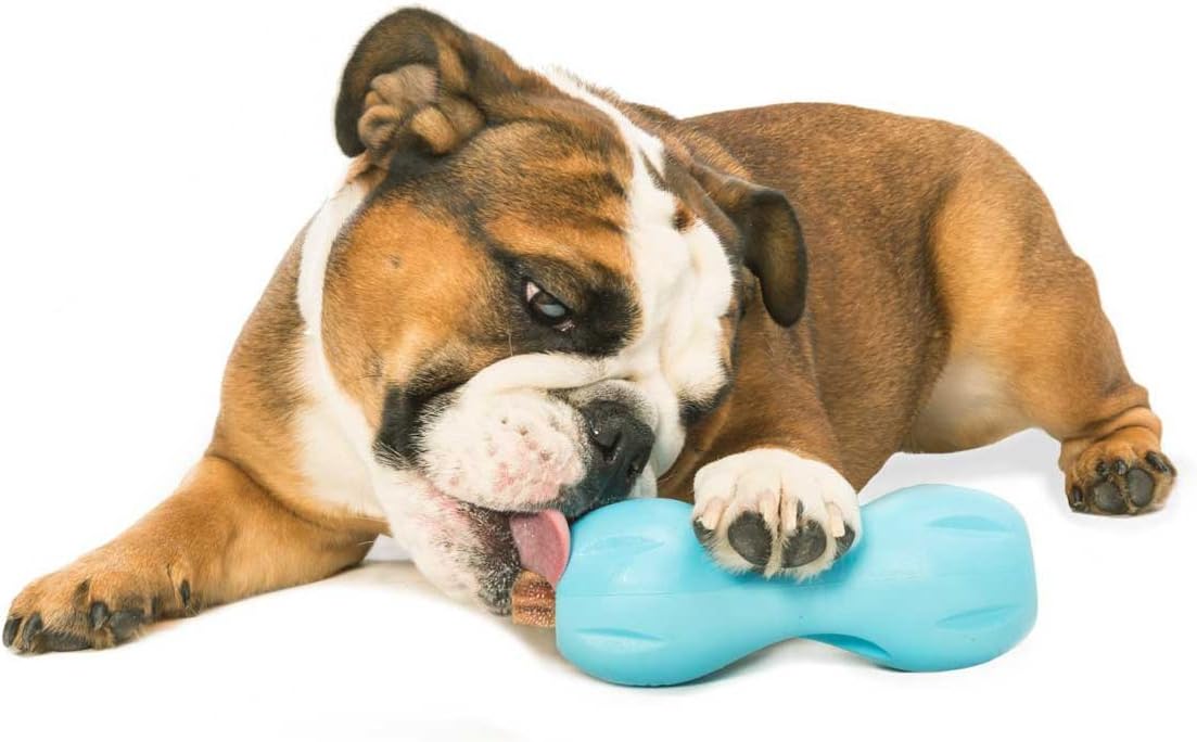 WEST PAW Qwizl Durable Zogoflex Dog Puzzle Toy for Mental Stimulation, and Enrichment - Treat Dispensing for Bully Sticks and Dental Sticks - Dishwasher Safe - Made in USA - Large - Aqua - Image 4