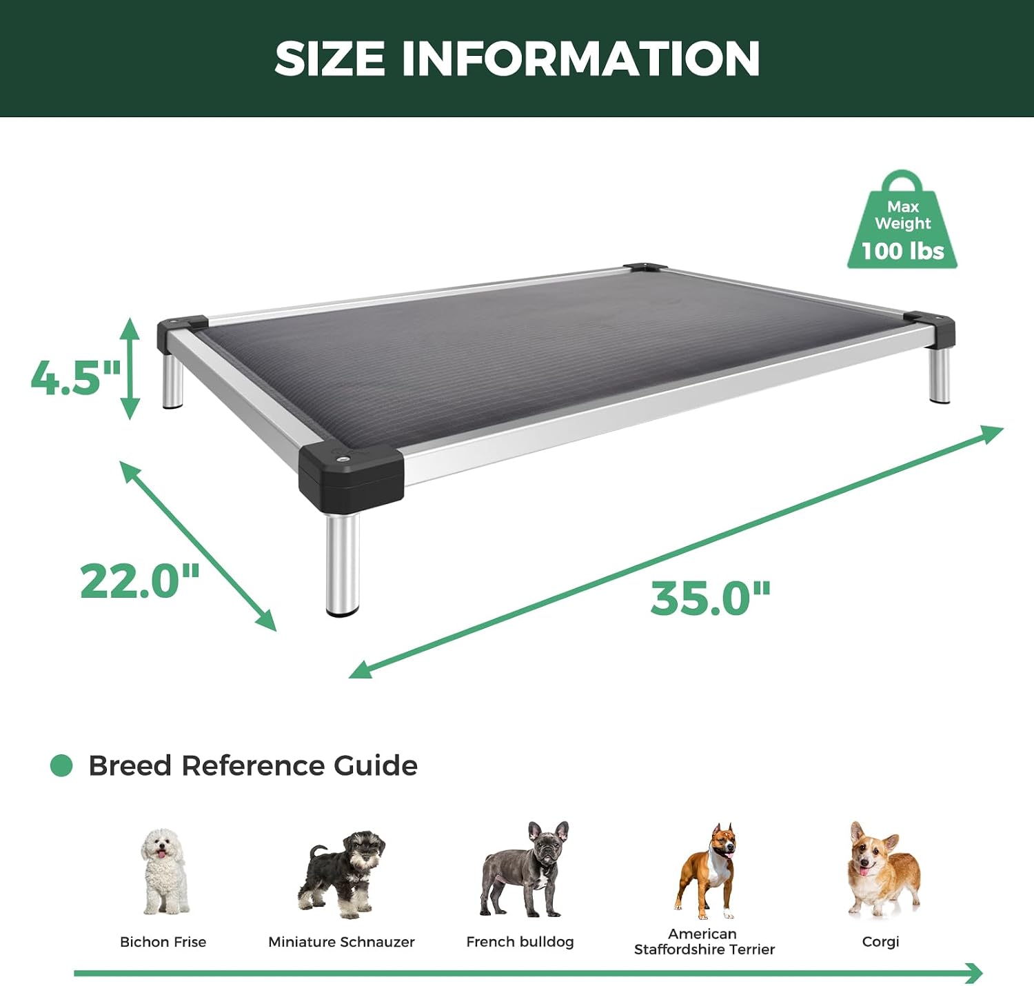FXW TitanNest Padded Chew-Proof Elevated Dog Bed for Small Dogs | Easy to Clean, Pre-assembly Raised Cot, Indoor/Outdoor/Camping, 35 x 22 x 4.5in - Image 7
