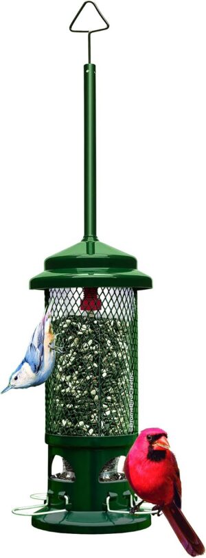 Squirrel Buster Standard Squirrel-p...