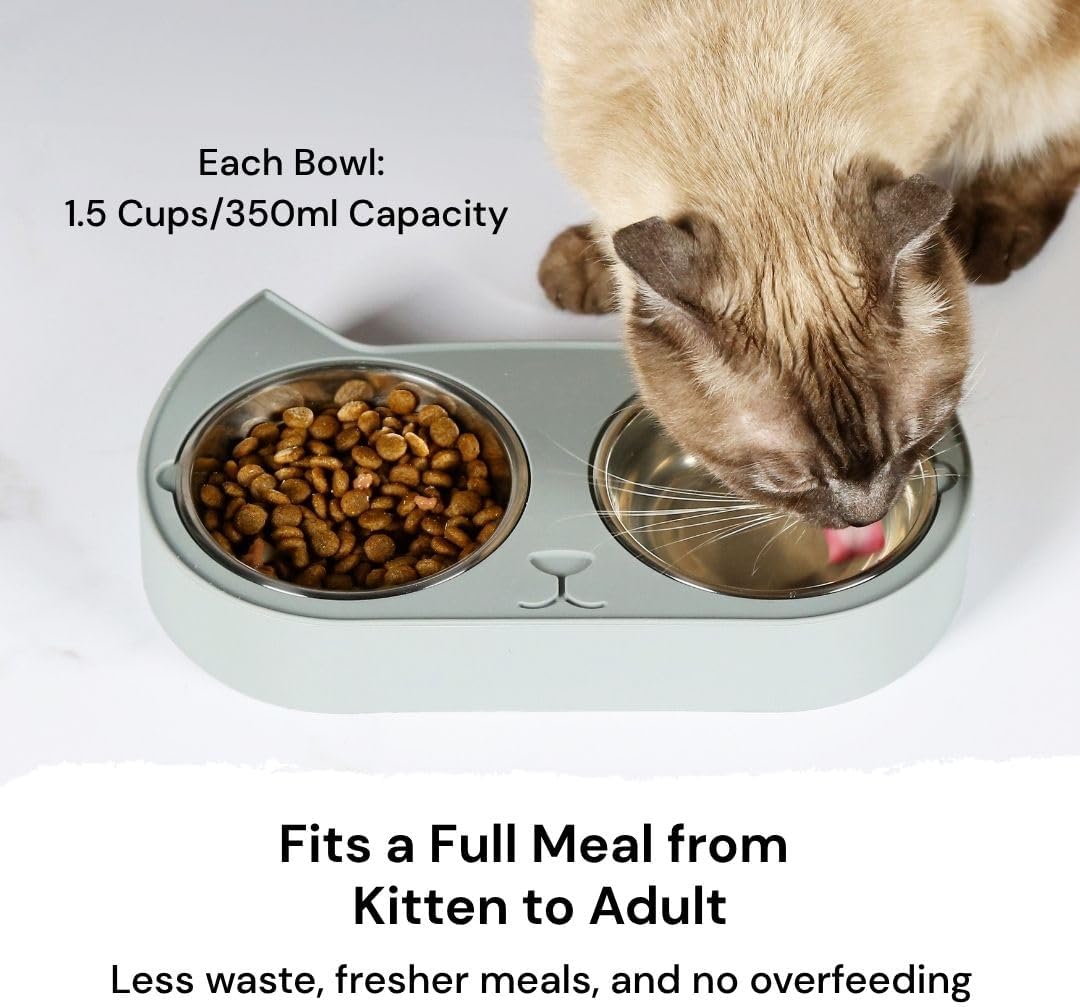 Kitten Food Bowl - Cat Food and Water Bowl Set for Indoor Cats | Two stainless steel dishes in a non-slip silicone base to resist sliding, 1.5 cup capacity each, top-rack dishwasher safe. - Image 2