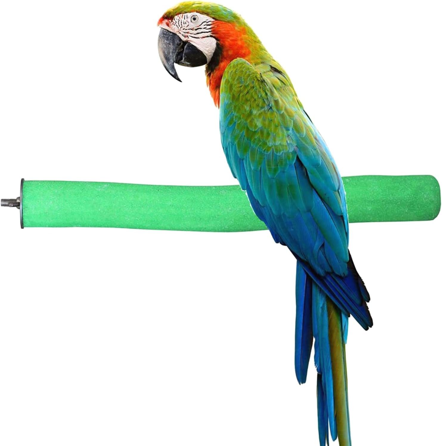 Bird Perch Rough-surfaced Nature Wo...