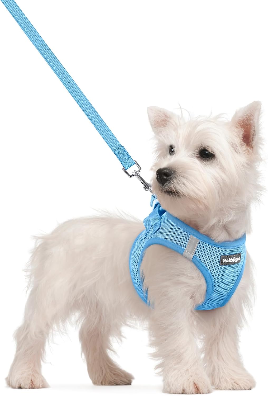 rabbitgoo Dog Harness Small Sized and Leash Set, Step-in Puppy Pet Vest | Light, Soft, Breathable Air Mesh, Easy on and Remove with Hook & Loop, Secure Reflective for Walking, Blue S