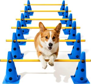 Dog Agility Course Backyard Set, Do...