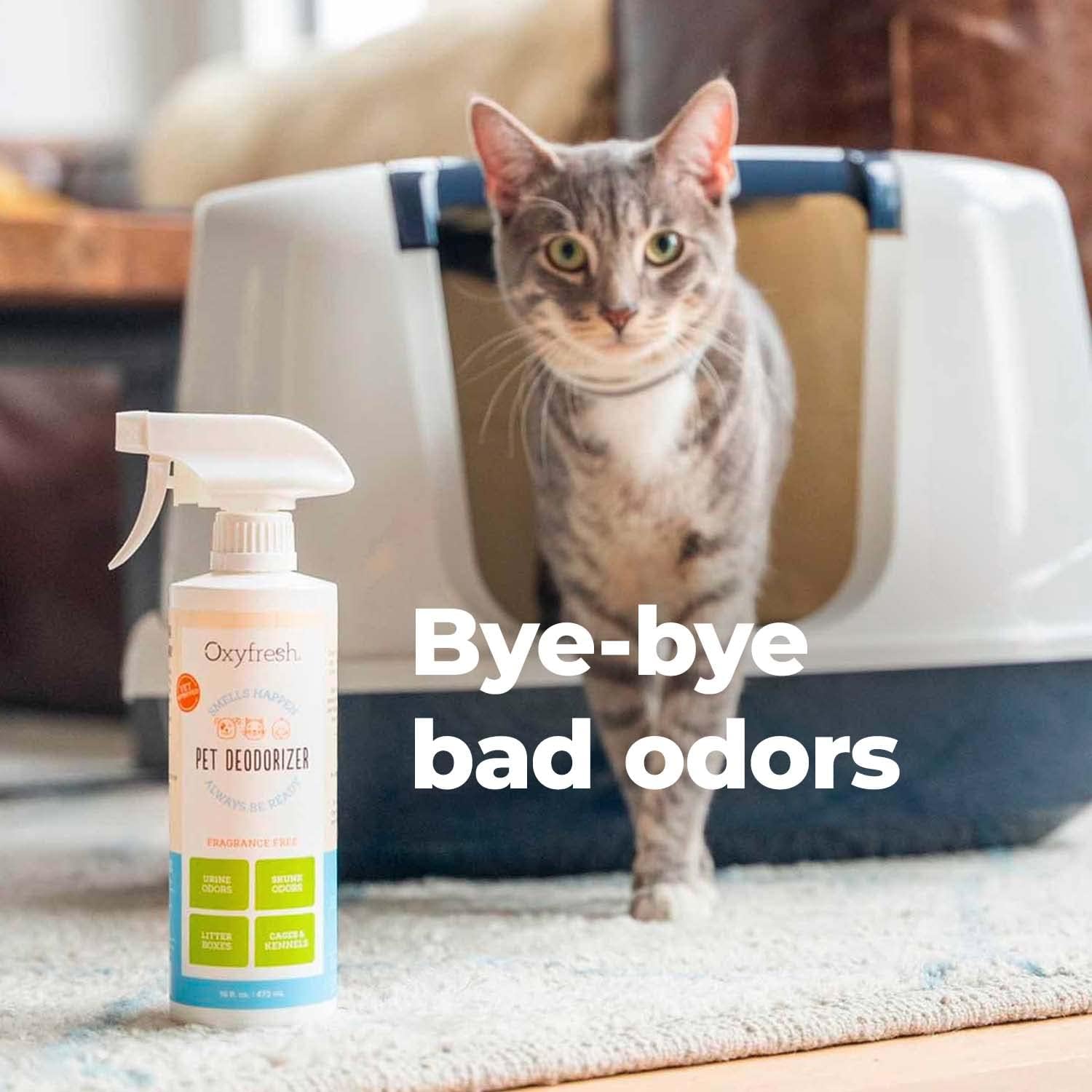 Oxyfresh Extra Strength Dog and Cat Odor Eliminator for Home Spray - Finally Say Goodbye to Stinky Odors - Gently Neutralizes at the Source - Works on Contact - Upholstery & Auto - Safe - Image 4