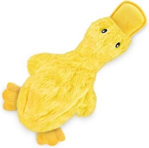 Best Pet Supplies Interactive Squea...