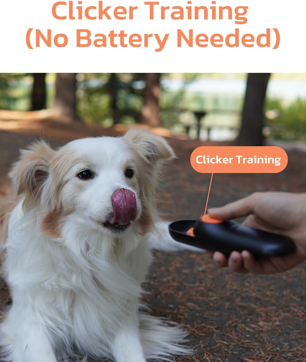 Clink Design 2-in-1 Puppy Essentials, Dog Training Clicker & Treat Carrier, Durable Food-Grade ABS, Treat Carrier with Desiccant Compartment, Compact & Lightweight Dog Stuff for Dogs - Black & Orange - Image 2