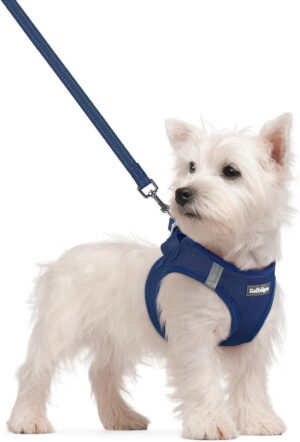 rabbitgoo Dog Harness Small Sized a...