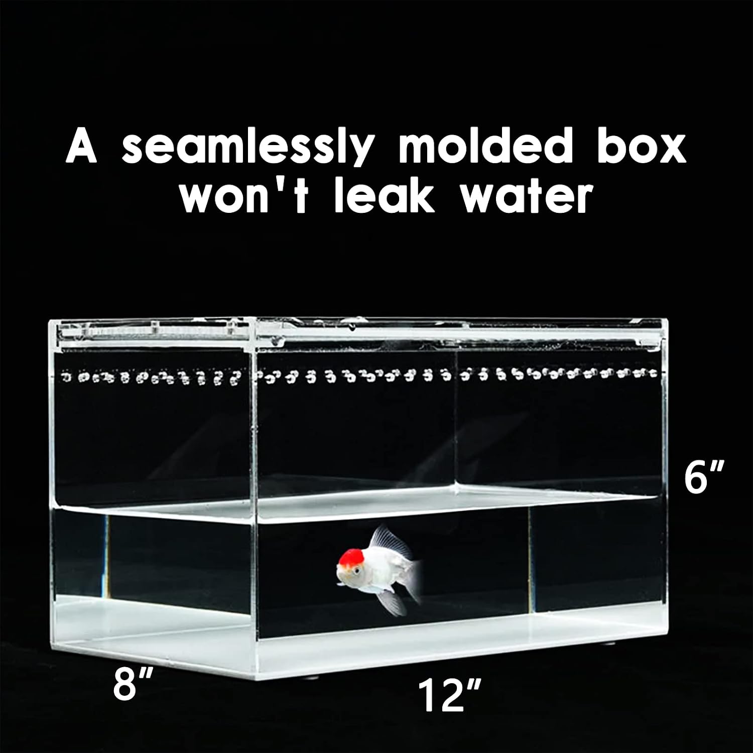 Reptile Terrarium - Amphibian Tank Starter Kit, Eco Rainforest Feeding Box, Amphibian Feeding Box, Suitable for breeding Lizards, Snakes, Chameleons,Jumping Spiders - Image 4