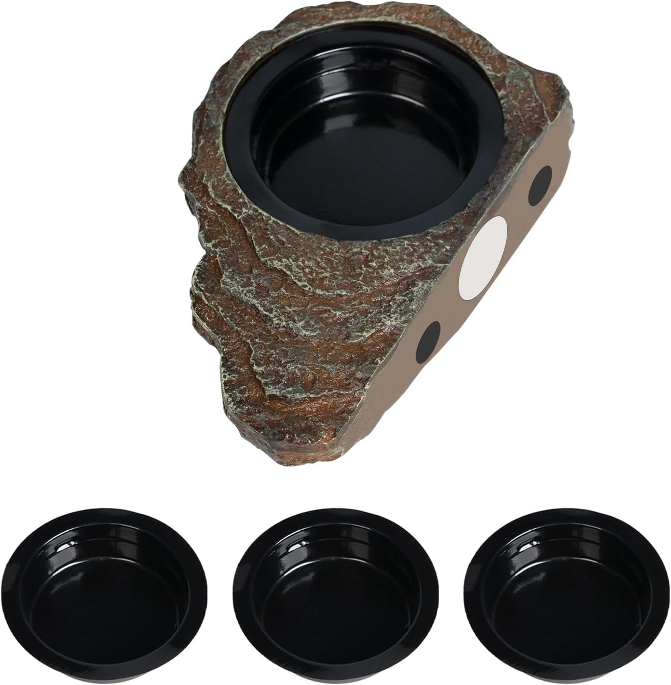 Magnetic Gecko Feeding Ledge, Repti...
