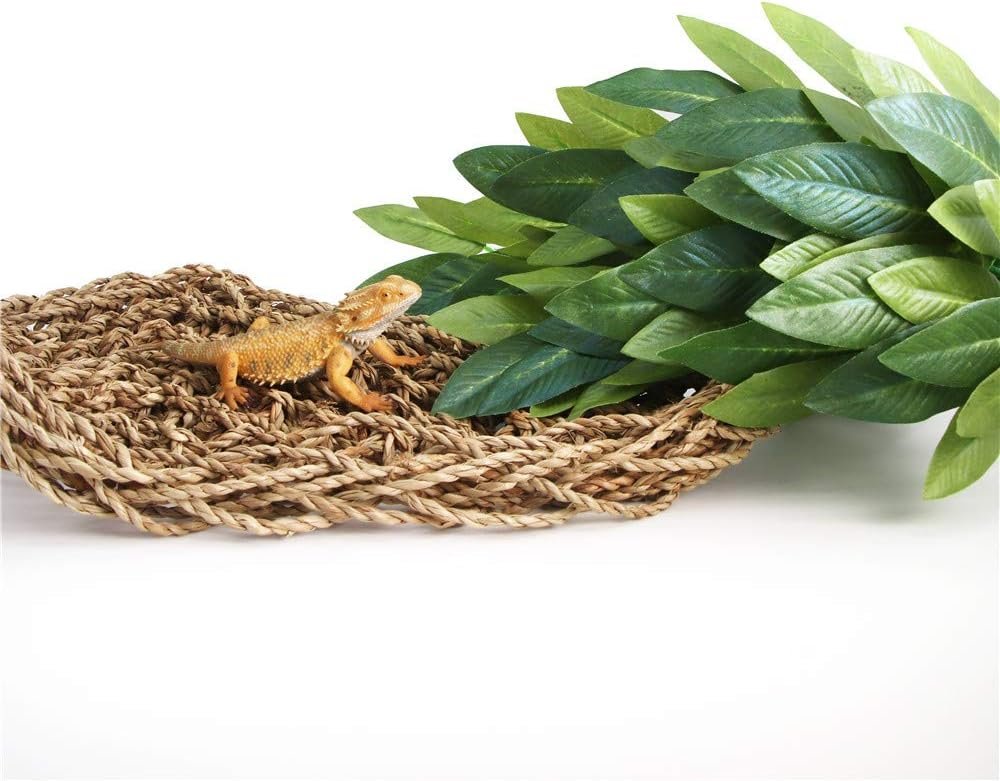 SLSON Reptile Plants Hanging Silk Terrarium Plant with Suction Cup for Bearded Dragons,Lizards,Geckos,Snake Pets and Hermit Crab Tank Habitat Decorations,Small Size,12 inches Green - Image 7