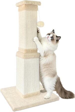 Cat Scratching Post for Indoor Cats...
