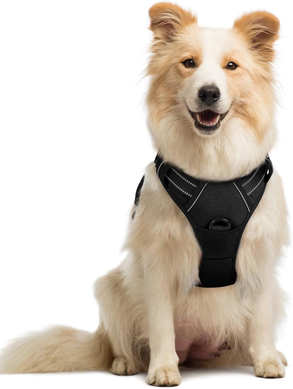 rabbitgoo Dog Harness, No Pull Medium Sized with 2 Leash Clips, Pet Vest | No Choke, Adjustable, Breathable Padded, 2 Lead Rings, Reflective, Easy Control for Walking Training, M, Black